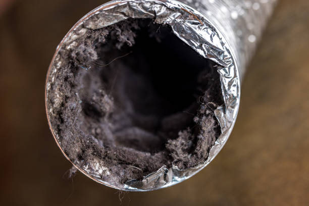 Best Affordable HVAC Duct Cleaning  in Ogden, NC