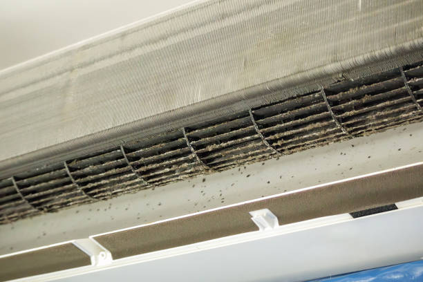 Best Affordable Duct Cleaning Services  in Ogden, NC