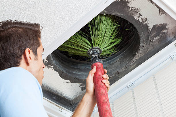 Best Duct Cleaning for Homes  in Ogden, NC